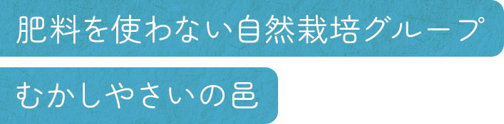 肥料を使わない自然栽培グループ むかしやさいの邑